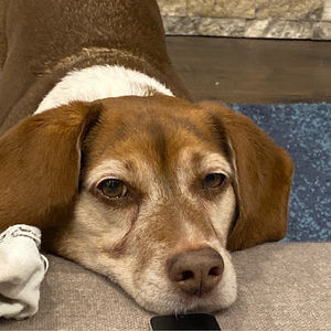 Meet your Posher, Camryn